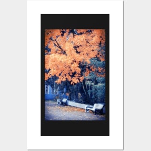 Autumn Park Posters and Art